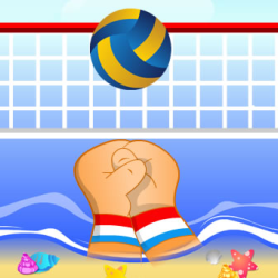 Volley ball