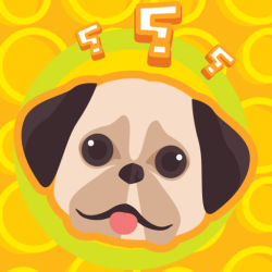 Dogs Quiz