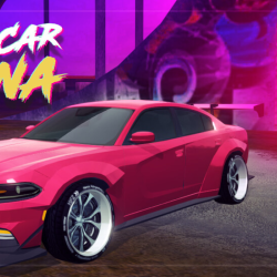 Ultimate Car Arena